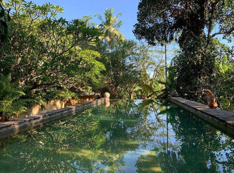 Sri Yoga Shala Unawatuna Exterior photo